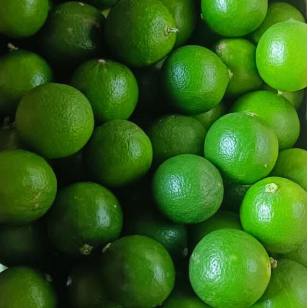 Calamansi - Jumerah Foodstuff